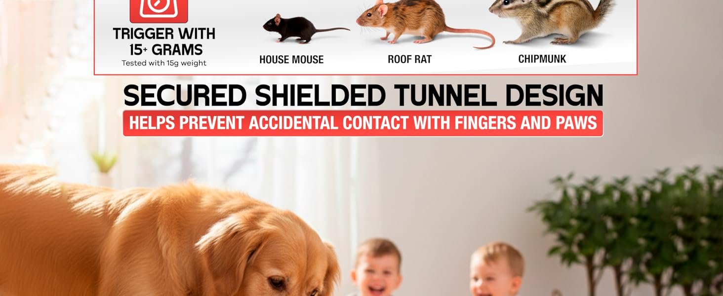 Zivaska rat trap features - dual tunnel design prevents accidental triggering