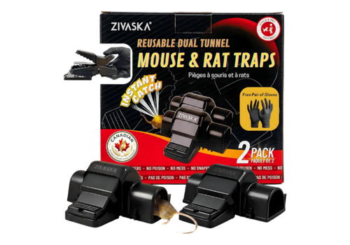 Untitled design - 2026-01-30T024449.523