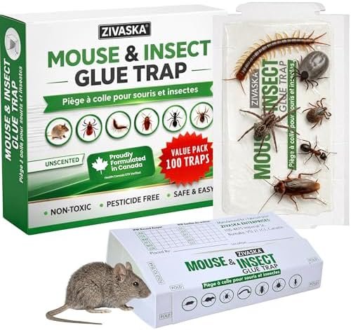 ZIVASKA Sticky Mouse Traps 50 Pack