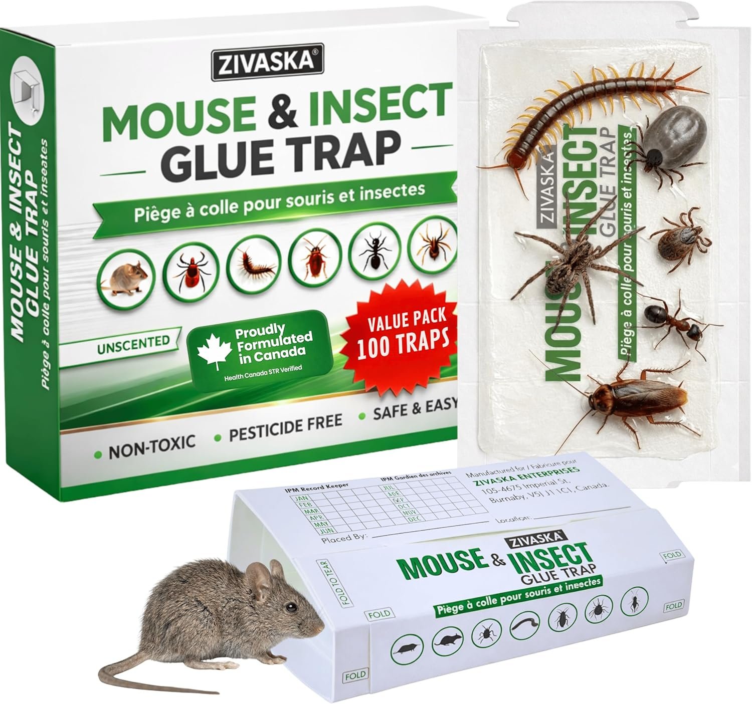 ZIVASKA 100-pack glue traps