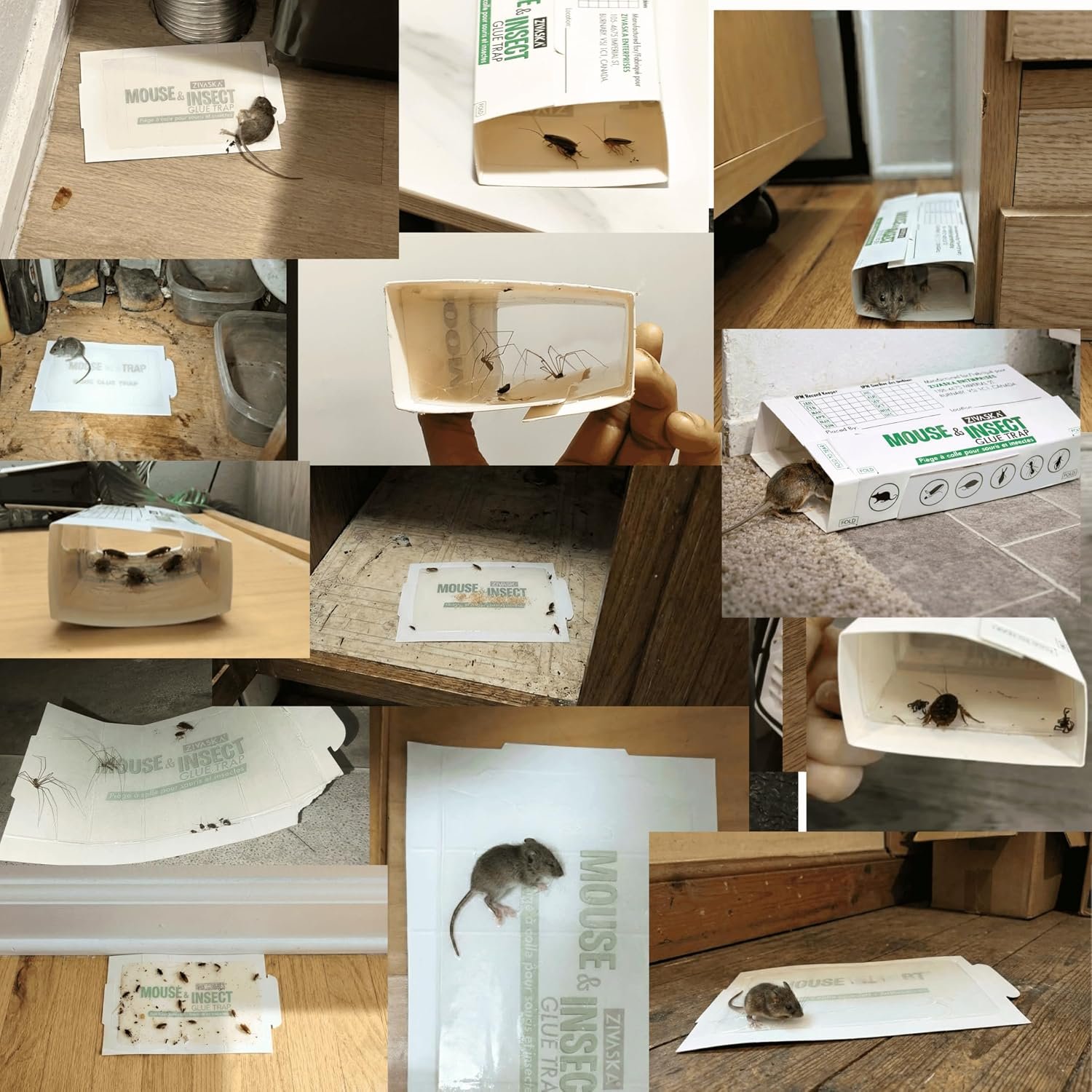 ZIVASKA mouse and insect glue trap key benefits