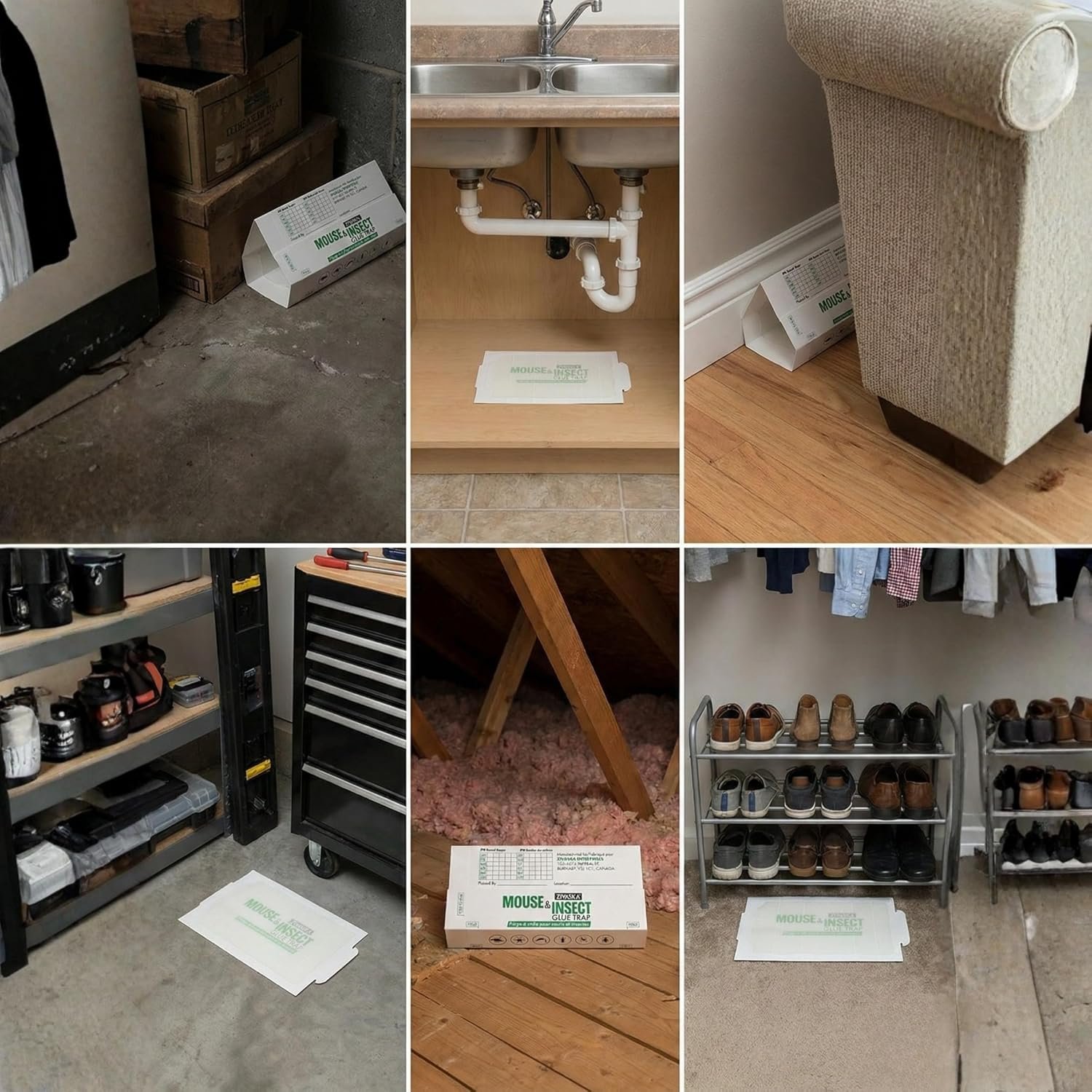 How to set up ZIVASKA glue traps