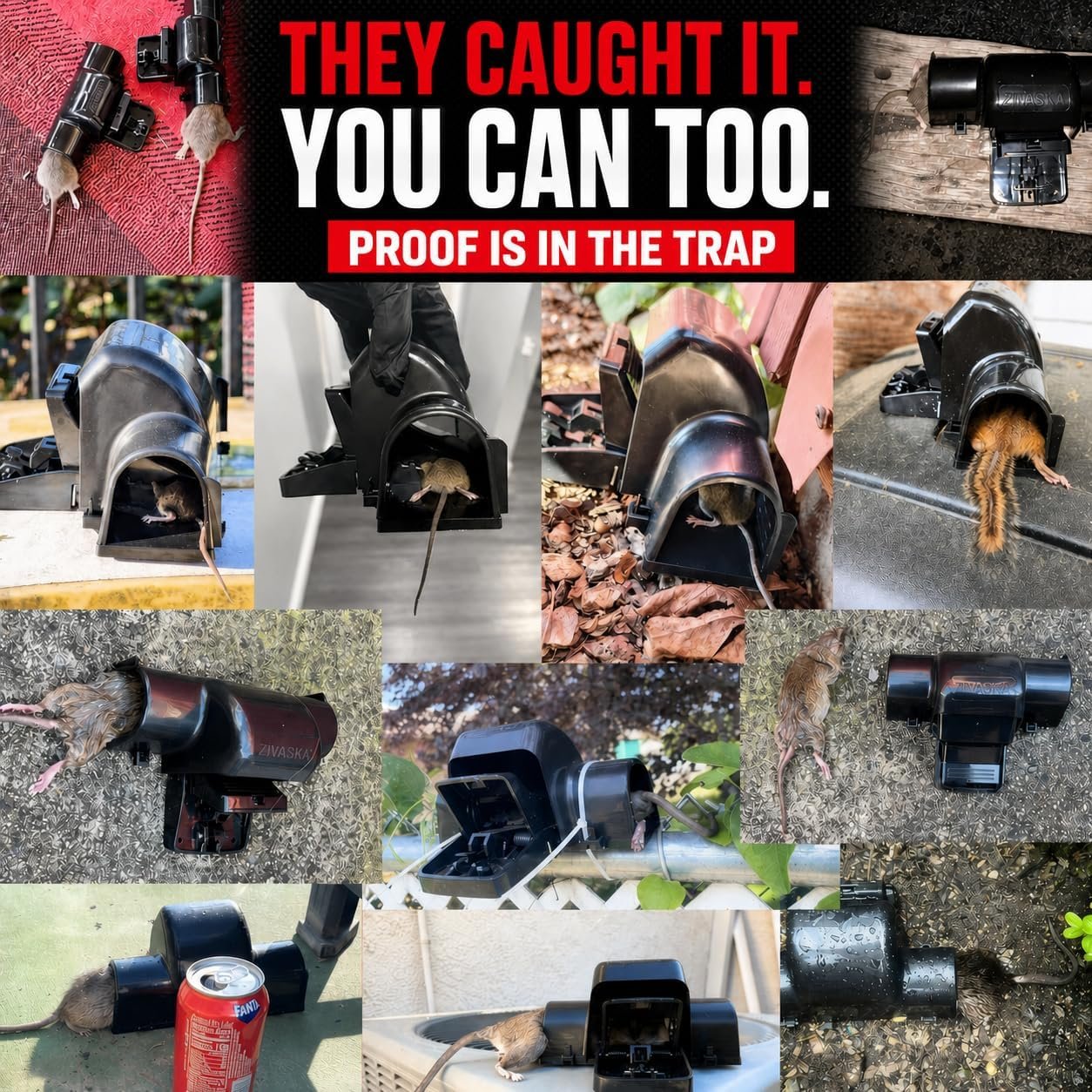 ZIVASKA dual-tunnel rat trap design