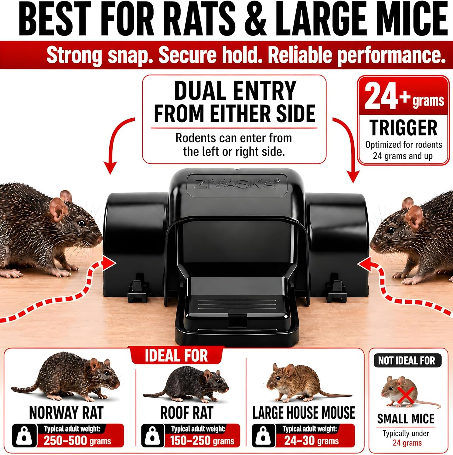 ZIVASKA enclosed rat trap features